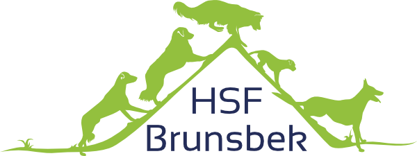 HSF Brunsbek